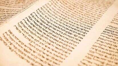 ספר תורה. | שאטרסטוק