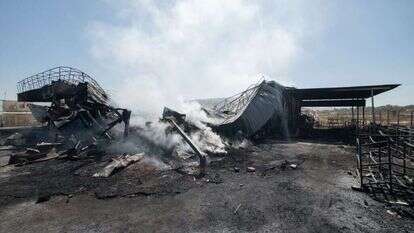 בקושי הצליחו לסגור את המקררים. מפעל האריזה העשן, אתמול צילומים: שריה דיאמנט