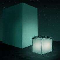 איור: שרון ארדיטי איור: שרון ארדיטי