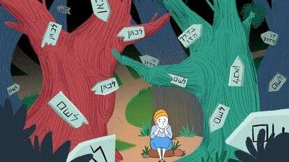 איור: רעות בורץ