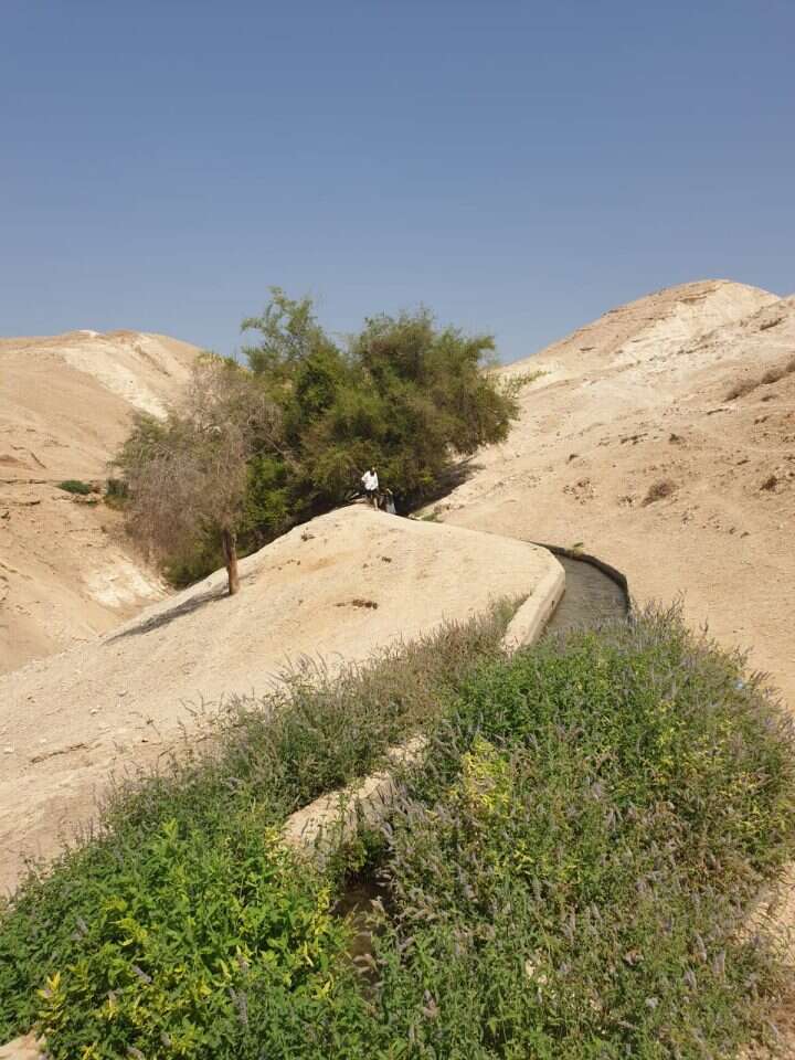 קרדיט: ידידיה נוימן
