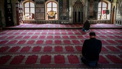 מוסלמים מתפללים במסגד בעכו, אילוסטרציה. | מרסלו סוס, פלאש 90