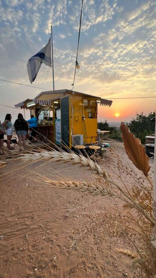 קפה שועל. קרדיט: אושרי שלמון