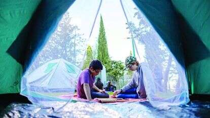 קמפינג ביער השלום, מתחם הקמפינג של עיר דוד. | אליהו ינאי