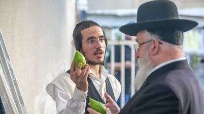 שמואל. | יוסי אלוני