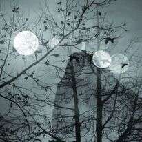 אורי גרשוני, "ירח מלא", 2011