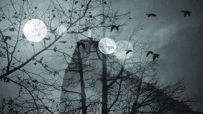 אורי גרשוני, "ירח מלא", 2011 אורי גרשוני, "ירח מלא", 2011