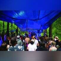 Jack Crosbie for Rolling Stone