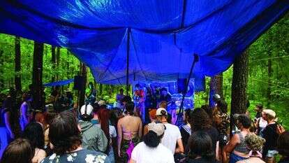 Jack Crosbie for Rolling Stone