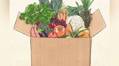 איור: שרון ארדיטי איור: שרון ארדיטי