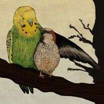 איור: שרון ארדיטי