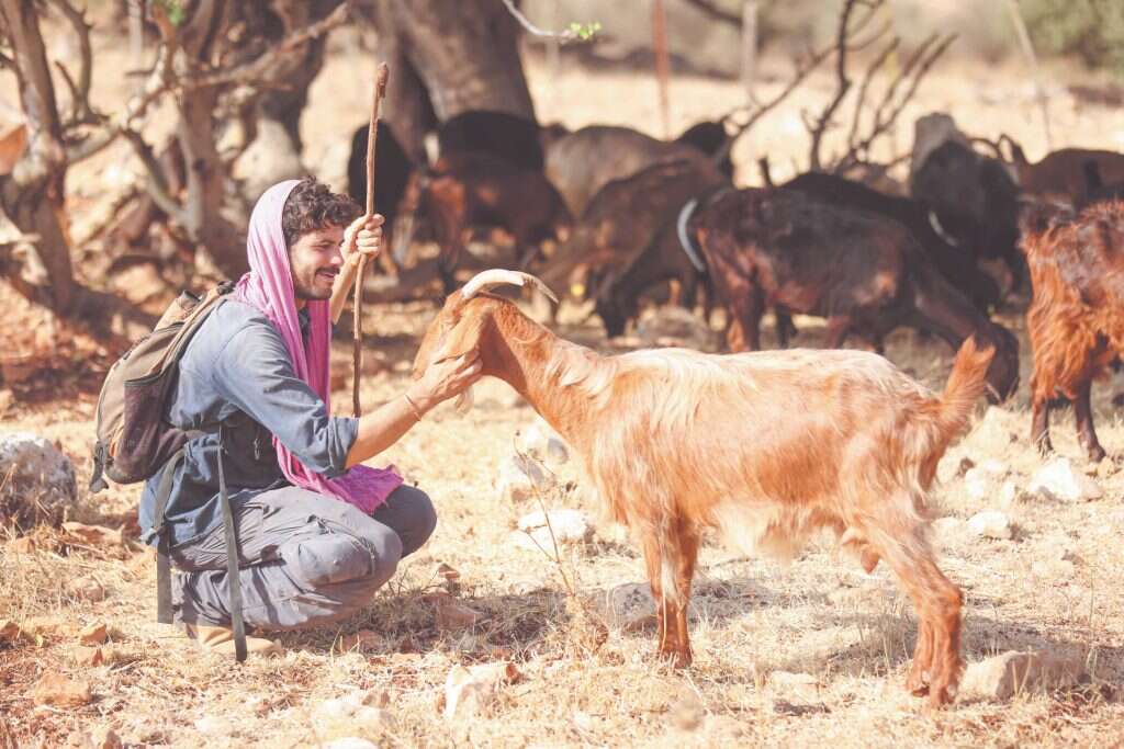 הלל גרדי. | דוד כהן, ג׳יני הלל גרדי. | דוד כהן, ג׳יני