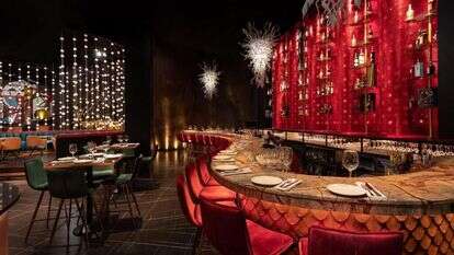 הבר של פופה. | אבי כהן