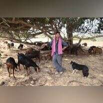 הלל גרדי. | דוד כהן, סוכנות ג'יני