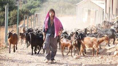 הלל גרדי. | דוד כהן, ג׳יני הלל גרדי. | דוד כהן, ג׳יני