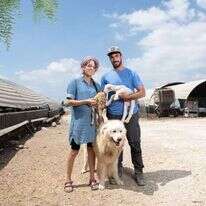 "אנחנו חיים את המלחמה". בני הזוג שוורץ. | שריה דיאמנט