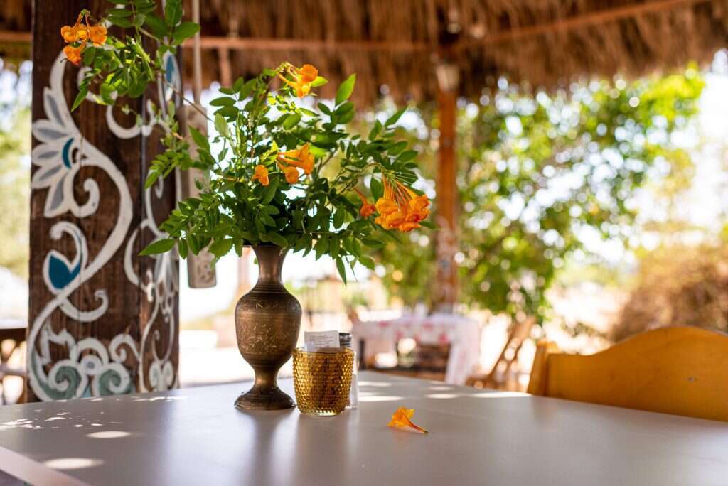 קפה ברותם. קרדיט: איציק גרינשטיין