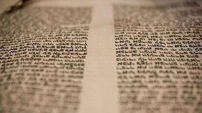 מה שכתוב בתורה ומה מצופה שיהיה כתוב בה. | שאטרסטוק