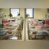 מחלקת יולדות שערי צדק. | הדס פרוש, פלאש 90