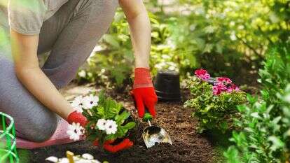 ציפייה למשהו חדש. | שאטרסטוק