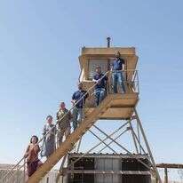 שריה דיאמנט