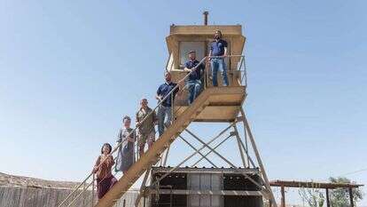 שריה דיאמנט