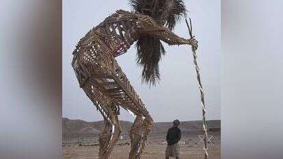 בובה על החוף שהדליק אדם אחד הפכה לתופעה עולמית. מידברן 2014. | דרור גרטי, פלאש 90