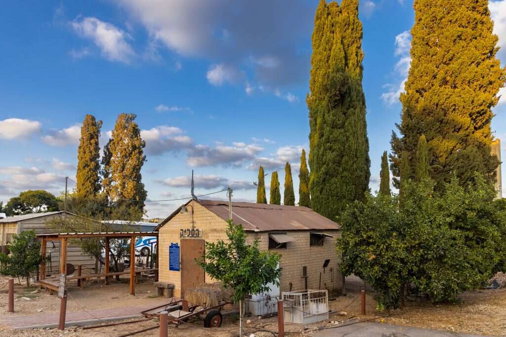 ברוך גרינברג