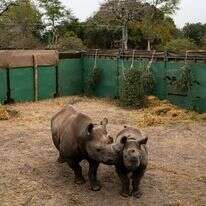 סלוואן ג'ורג'ס, הוושינגטון פוסט