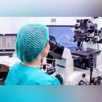 הפריה חוץ גופית, אילוסטרציה | שאטרסטוק הפריה חוץ גופית, אילוסטרציה | שאטרסטוק