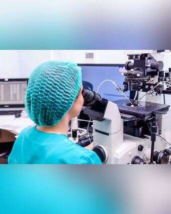 הפריה חוץ גופית, אילוסטרציה | שאטרסטוק הפריה חוץ גופית, אילוסטרציה | שאטרסטוק