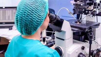 הפריה חוץ גופית, אילוסטרציה | שאטרסטוק הפריה חוץ גופית, אילוסטרציה | שאטרסטוק