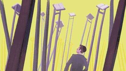 איור: אבימי