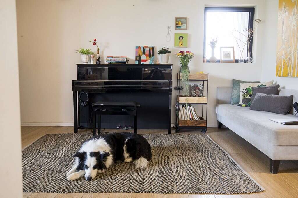 מתוך הספר: רוני כנעני