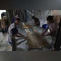 בורסקאות בטכניקות שאינן מייצרות פסולת רעילה. תהליך עיבוד עור הפיררוקו. | איי.פי