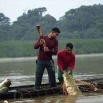 שלל ברשת באמזונס, למצולמים אין קשר לכתבה. | איי.פי