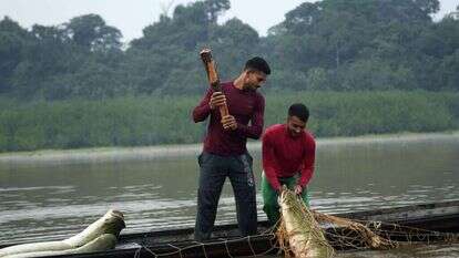שלל ברשת באמזונס, למצולמים אין קשר לכתבה. | איי.פי