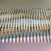 תחמושת, אילוסטרציה. | מרים צחי