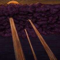 איור: שרון ארדיטי