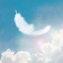 אילוסטרציה, | שאטרסטוק