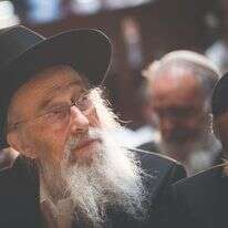 הרב טאו. | יונתן זינדל, פלאש 90