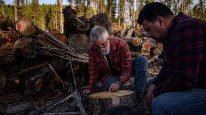 ז'אן־לוק קאנפה ולואי דה־גראנדפרה בוחנים עץ שנכרת. | איי.אף.פי