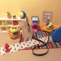 איור: יבגני זלטופולסקי