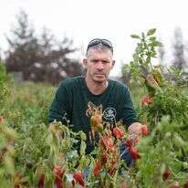 אלקנה כהן. | אייל מרגולין, ג'יני