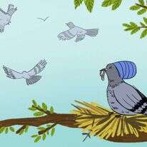 איור: רעות בורץ