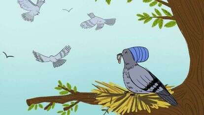 איור: רעות בורץ