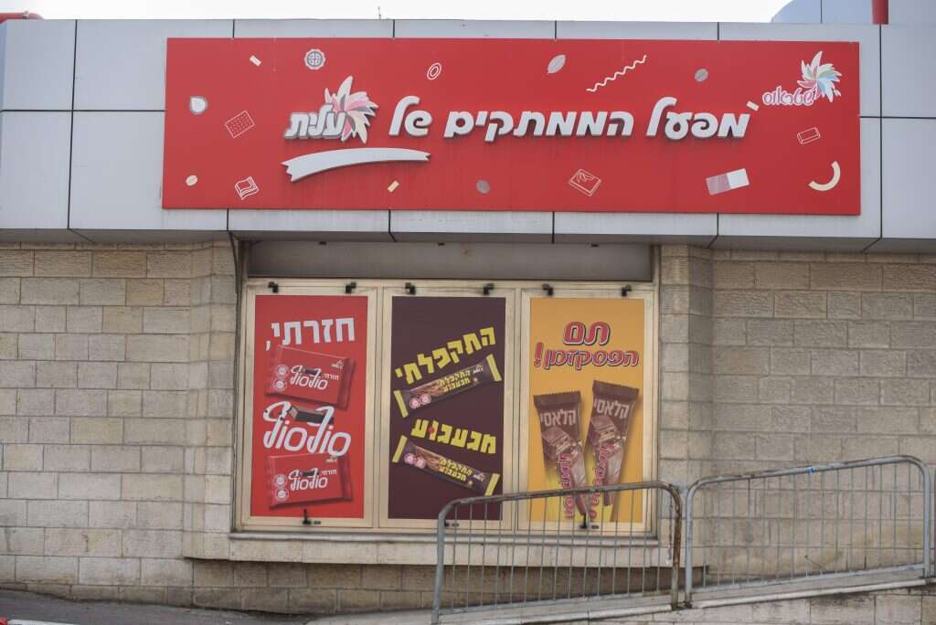 אייל מרגולין, ג'יני