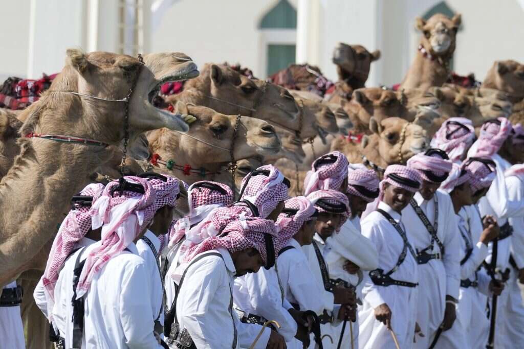 שומרים עומדים עם גמלים מחוץ לארמון הממשלה בקטאר. | AP