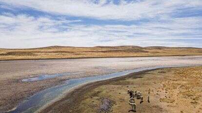 ללא גשם באופק. בצורת בפרו, אילוסטרציה. | AFP