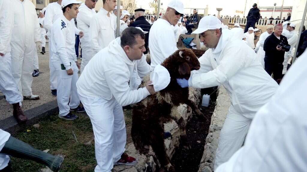 ככה זה נראה בבית המקדש. השומרונים בזבח הפסח. | משה אלפי - אלפים הפקות